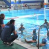 Victorioso duelo andaluz para las chicas del Club Waterpolo Dos Hermanas PQS