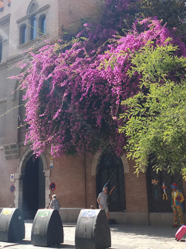 La primavera llega el día 20 de marzo a las 16:33 horas (hora peninsular).