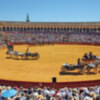 Los enganches de la Feria de Abril lucen en la Maestranza de Sevilla.