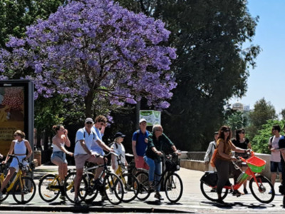 Sevilla y la luz de las Jacarandas.