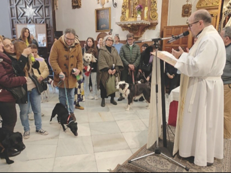  Los animales de compañía toman el atrio de la parroquia de San Roque por San Antón.