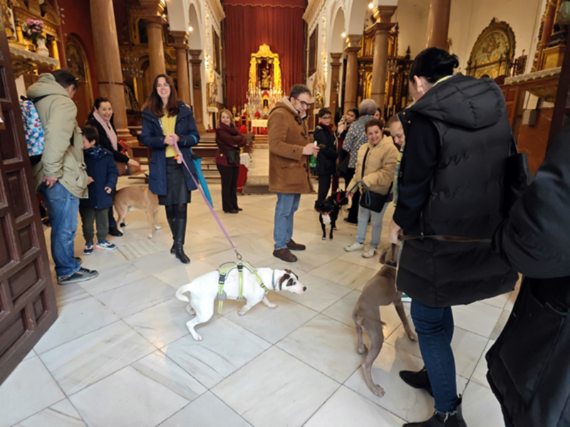 Bendición de animales doméstico en la Parroquia de San Roque de Sevilla 