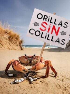 Finalizada la primera de las dos campañas de concienciación “Orilla sin colillas” que se organizan este verano en Chipiona.