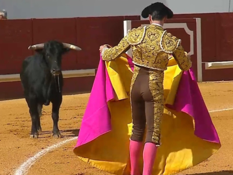 Canal Sur Televisión retransmite este domingo la novillada con picadores de la localidad onubense de Niebla