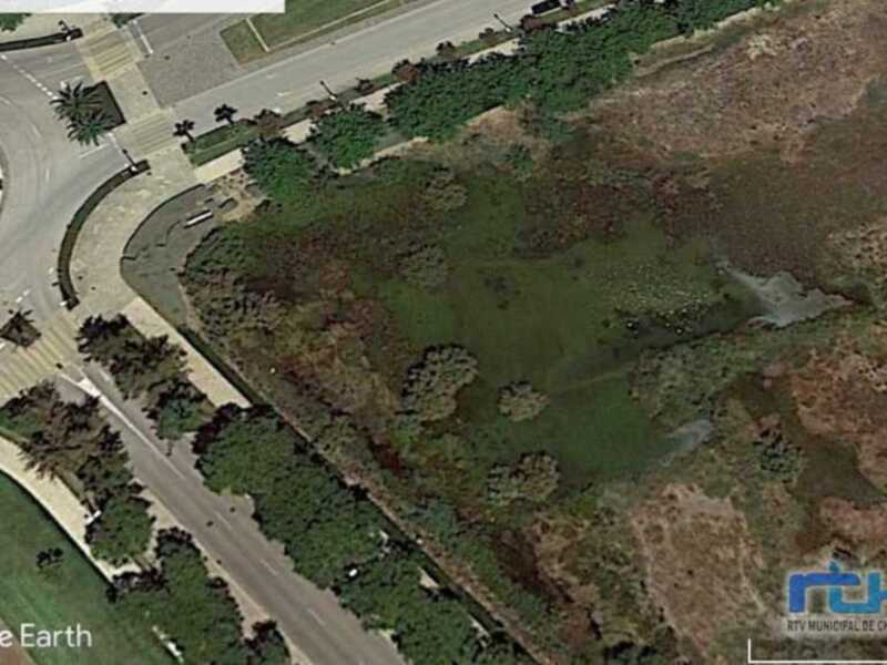 El grupo CANS propone crear una charca para la conservación de anfibios por la próxima urbanización de La Laguna destinada a ello 
