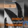 Alfredo Zarazaga invita a asistir hoy a la proyección del documental sobre sobre su obra ‘Cangrejos en el Litoral Gaditano’ 