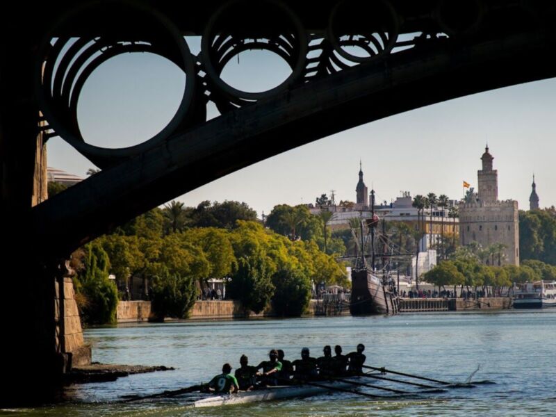 Barcos de remo en el río Guadalquivir con la Torre del Oro al fondo, bajo un puente metálico.