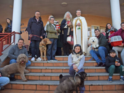 Sevilla honra a San Antonio Abad con la tradicional bendición de los animales