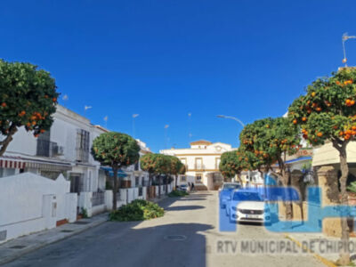 Comienza la poda de naranjos en las vía y espacios públicos de Chipiona