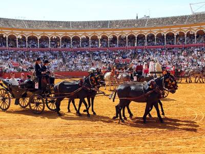 “La 40ª Exhibición de Enganches rinde homenaje a Ronda y a la tradición ecuestre en Sevilla”