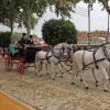 La Feria de Abril regresó como uno de los grandes referentes culturales y sociales de España