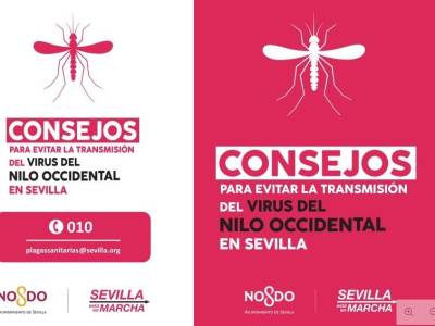 Sevilla refuerza la prevención frente al virus del Nilo con la colaboración de las farmacias