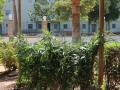 Zona replantada del Parque de Consolación.
